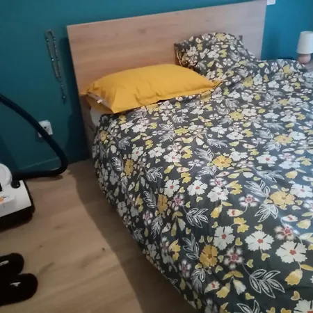 Gare Centre D'arcachon דירה